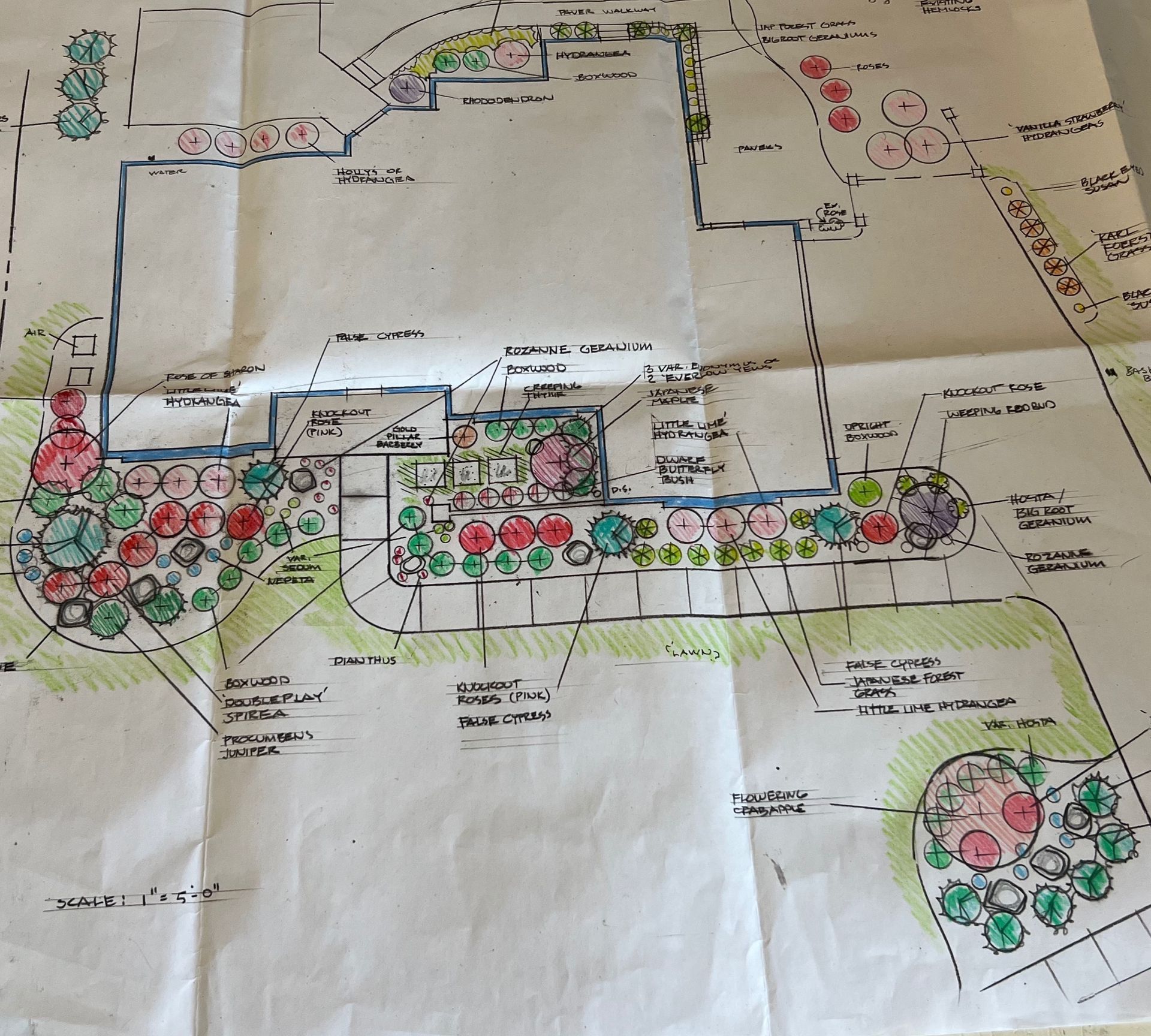 Hand-drawn landscape plan with colorful plant illustrations, pathways, and labeled sections.