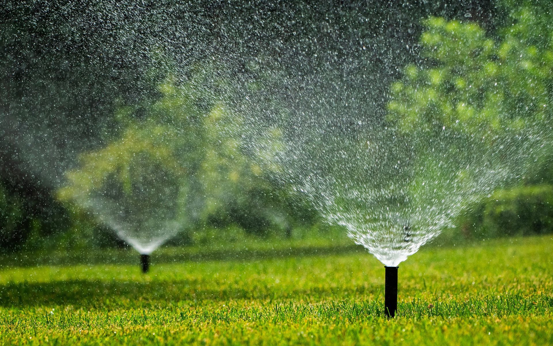 Lawn sprinklers spraying water onto a green grassy lawn with trees in the background.