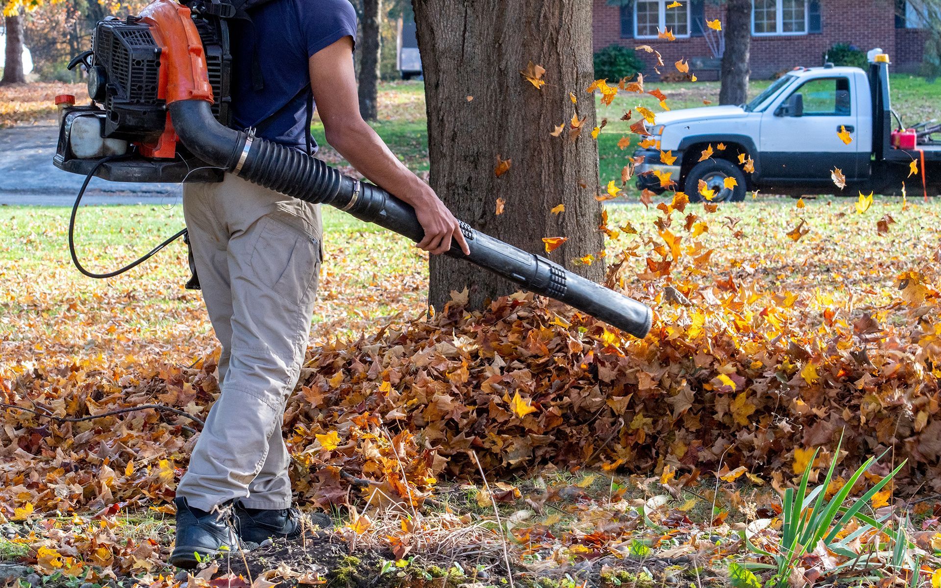 Person using a leaf blower to move fallen leaves on a lawn; a truck is parked in the background.