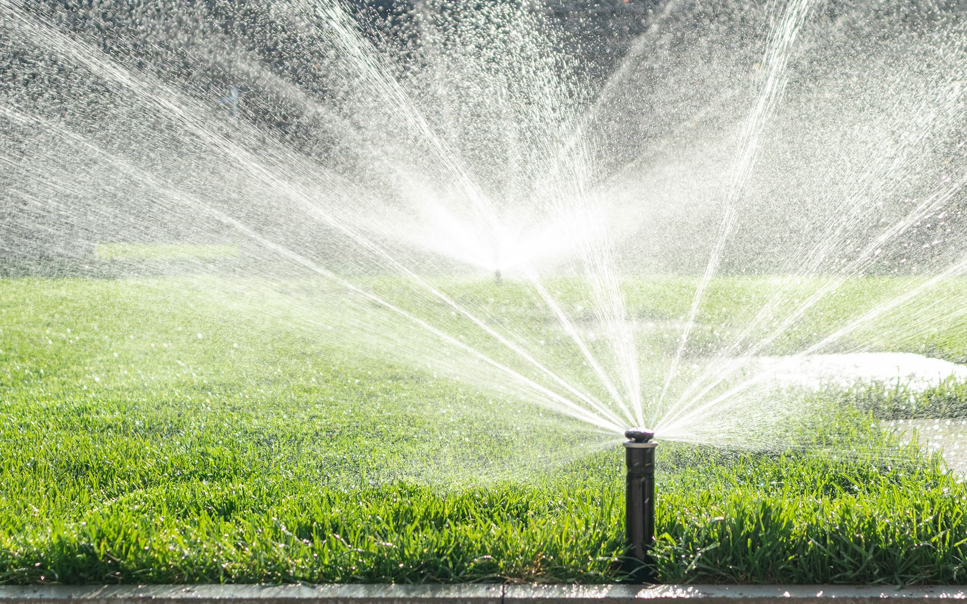 Sprinkler watering green lawn on a sunny day.