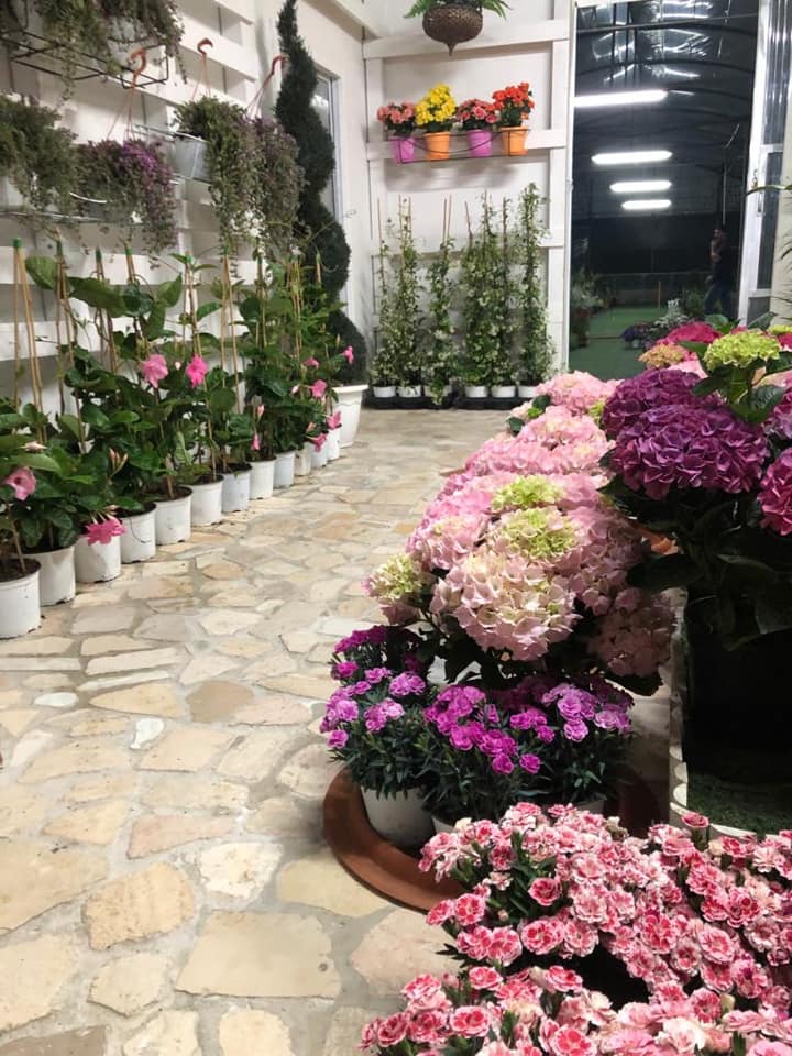 il giardino dei desideri