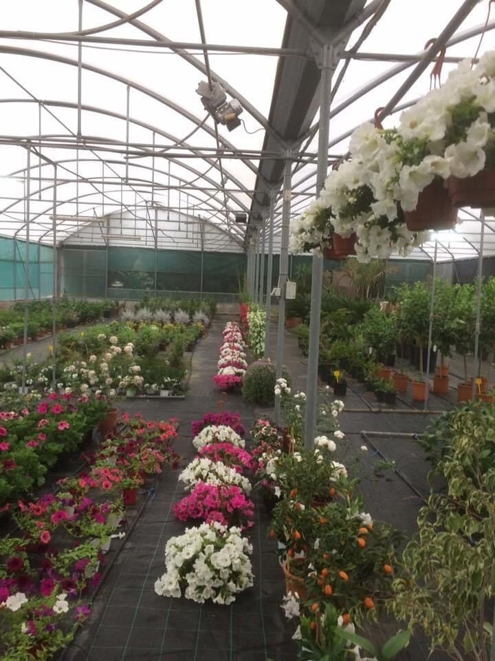 il giardino dei desideri