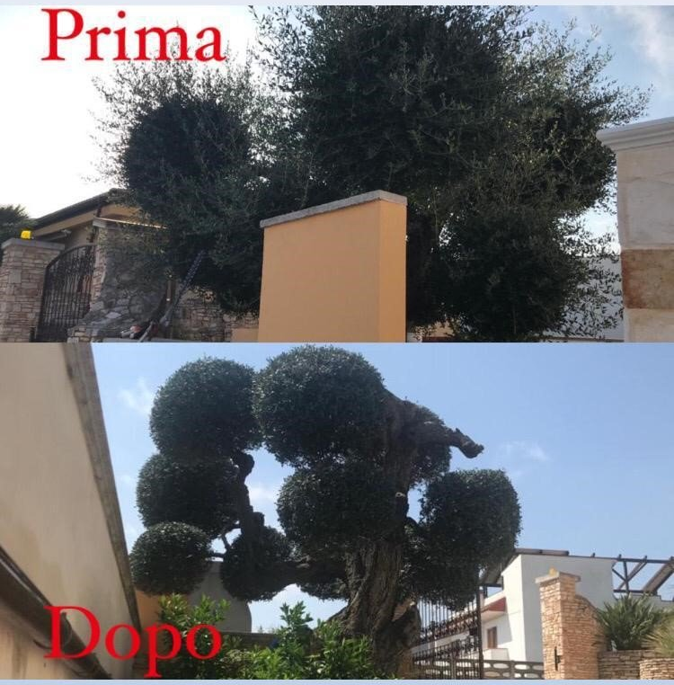 il giardino dei desideri