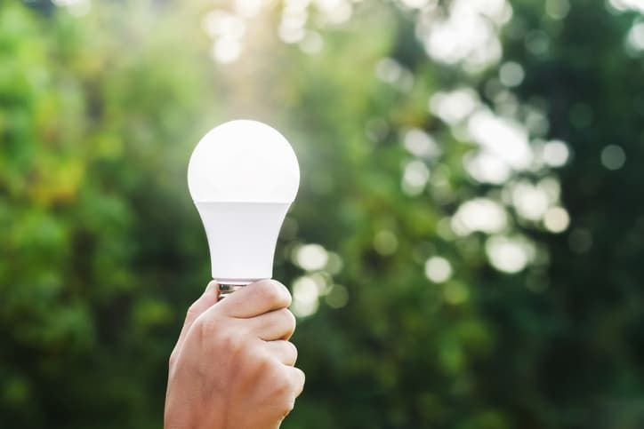 A person is holding a light bulb in their hand.