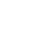 termite damage white icon