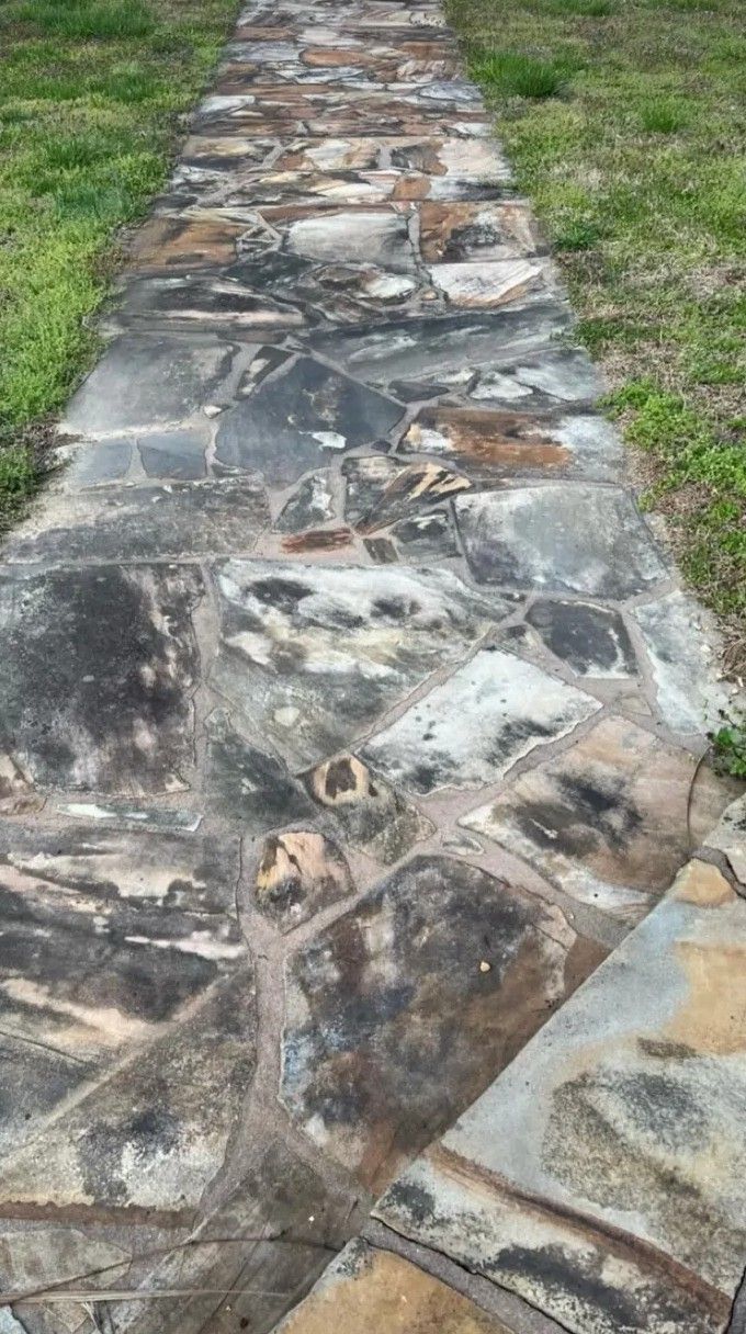 Stone walkway bordered by grass, with irregular gray and brown paving slabs.