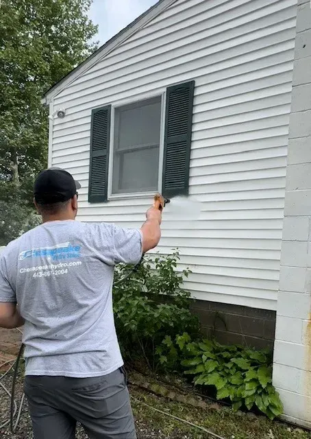 Person painting green window shutters on a white house exterior