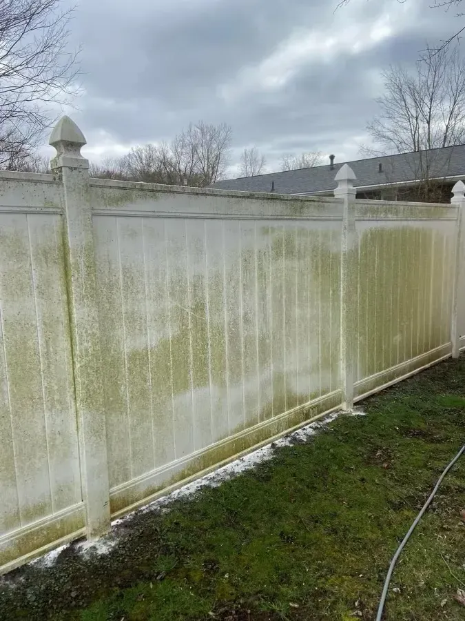 White vinyl fence stained green, with a grassy yard, under a cloudy sky.