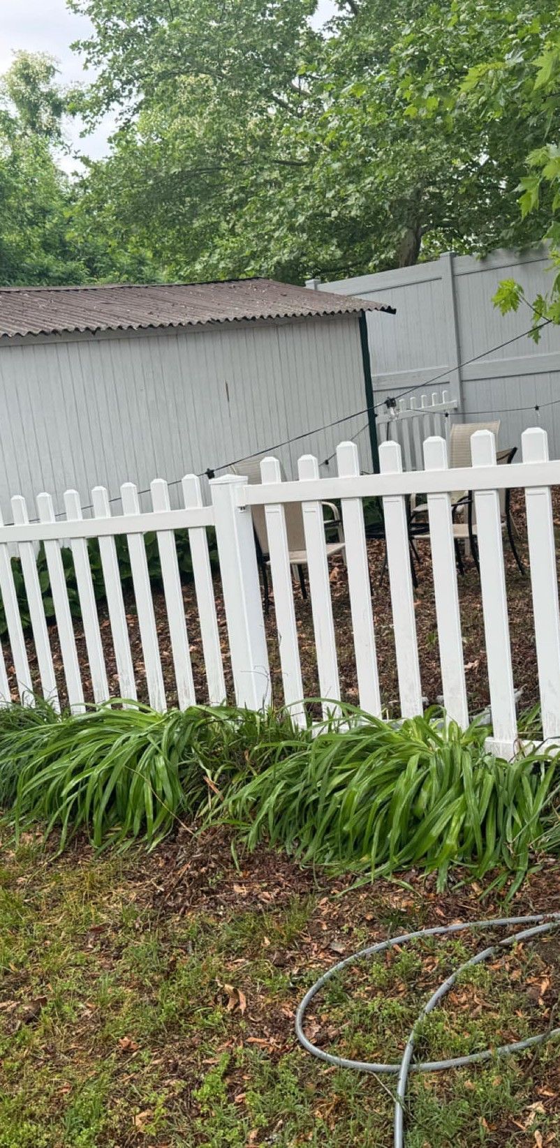 White picket fence with green plants in front of a gray shed in a backyard.