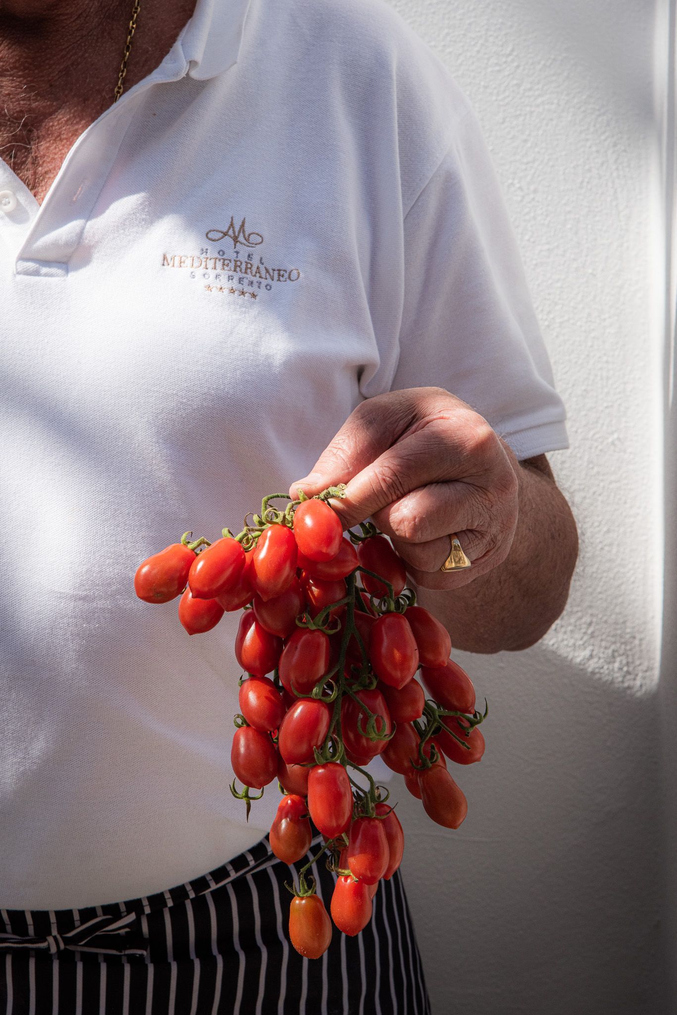 Una persona con una polo bianca tiene in mano un grosso grappolo di pomodorini ciliegino freschi e di un rosso acceso.
