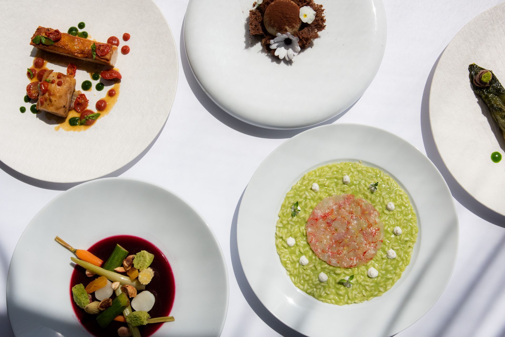 Five gourmet dishes served on white plates, arranged on a white tablecloth with soft, angled shadows.