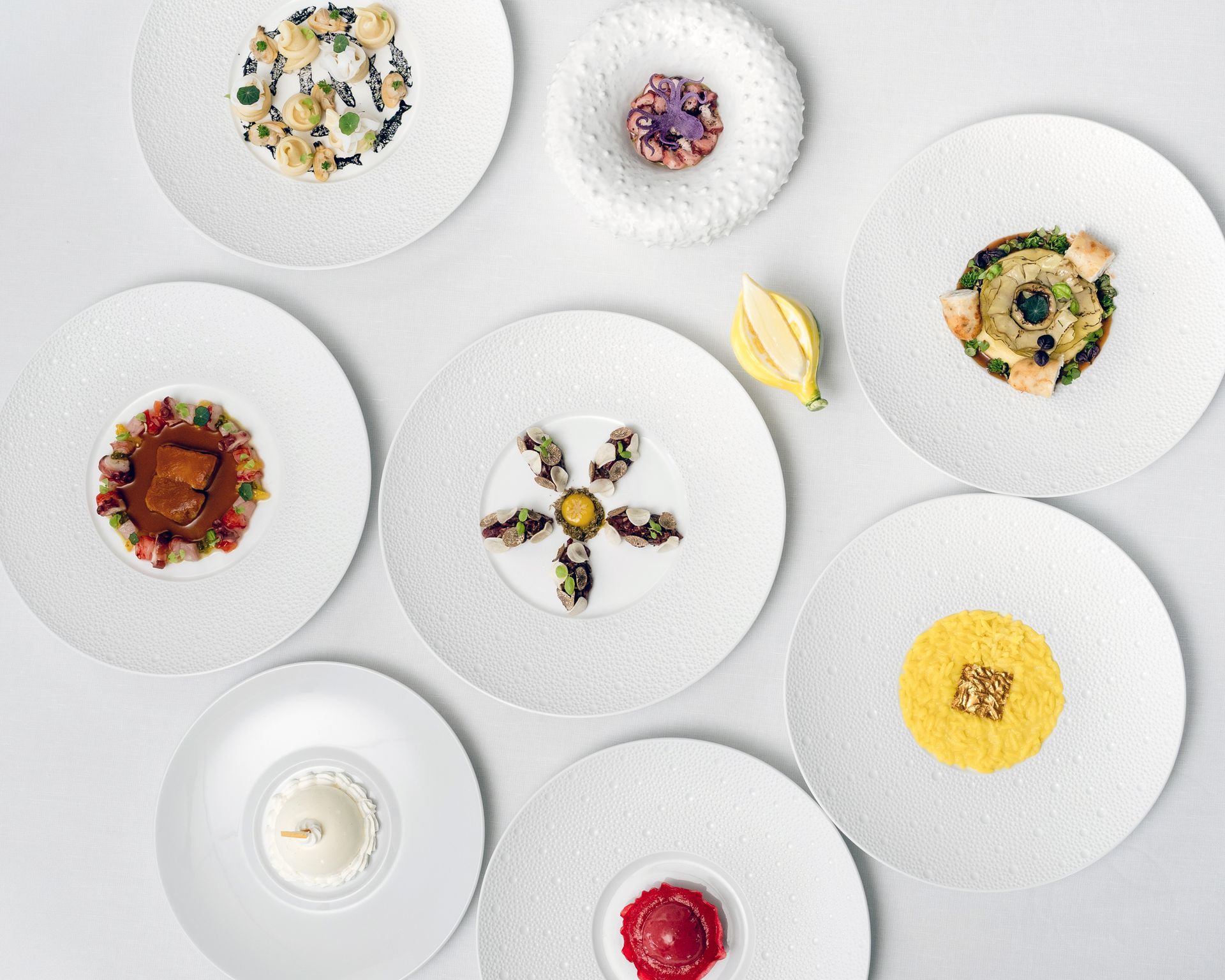 Assorted colorful plates arranged on white dishes with a lemon garnish on a light background