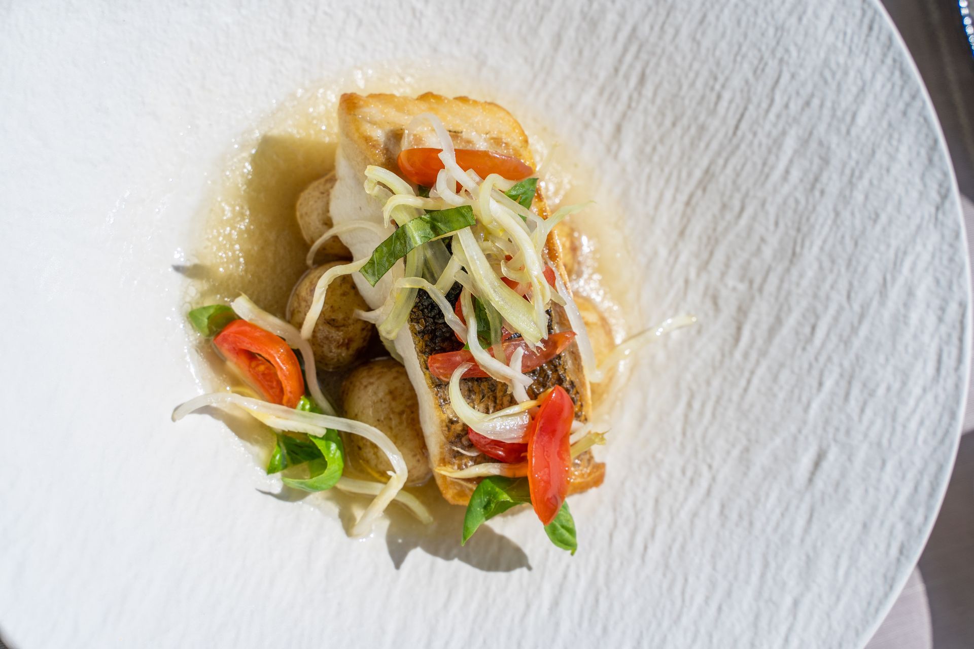 A piece of pan-seared white fish served with small roasted potatoes, sliced peppers, and fennel in a light sauce.