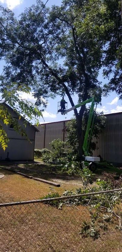 A man is cutting a tree with a crane in front of a house.