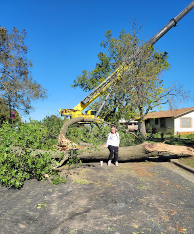 A woman is standing next to a large tree that has been cut down by a crane