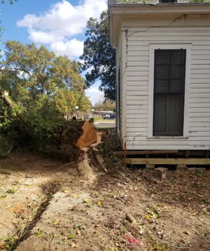 A white house with a tree stump in front of it.