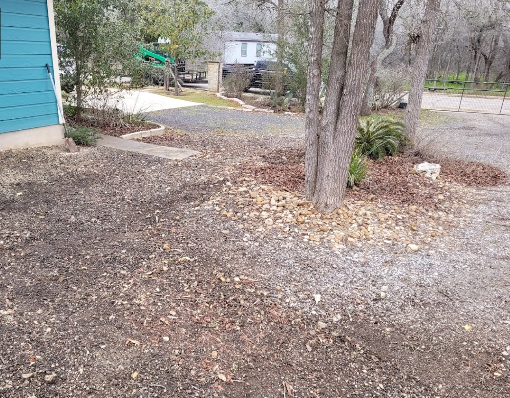 There is a blue house in the background and a tree in the foreground.