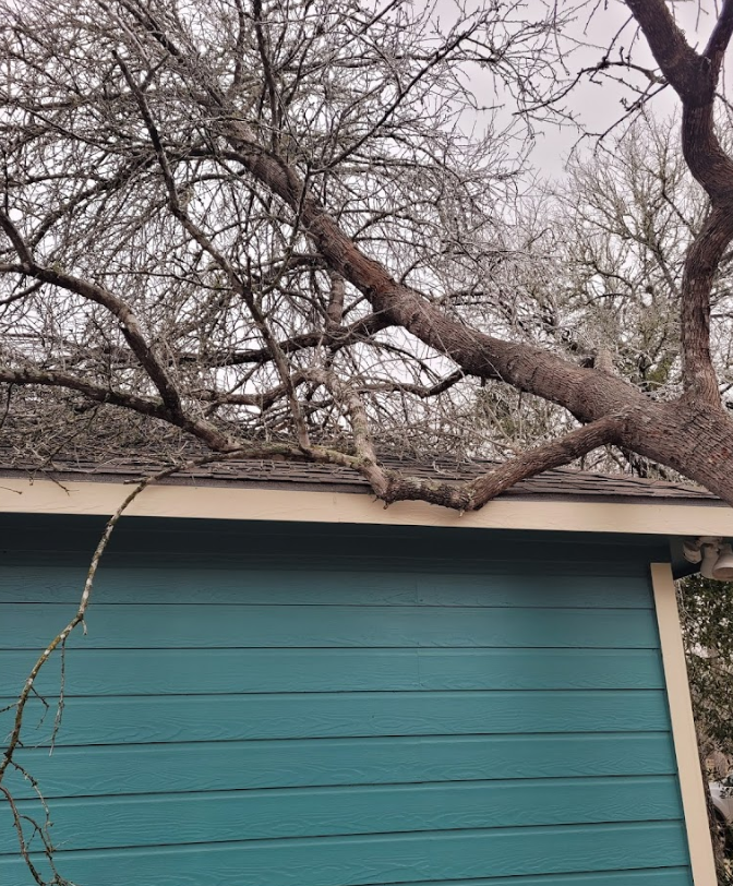 A tree branch is hanging over the roof of a blue house.
