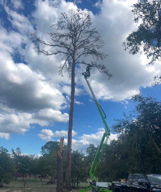 A man is cutting a tree with a green crane