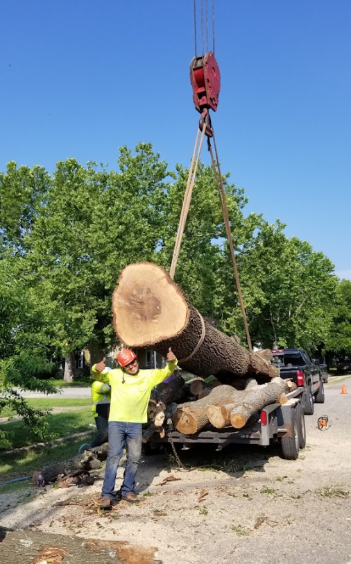 A man is standing next to a large log being lifted by a crane.