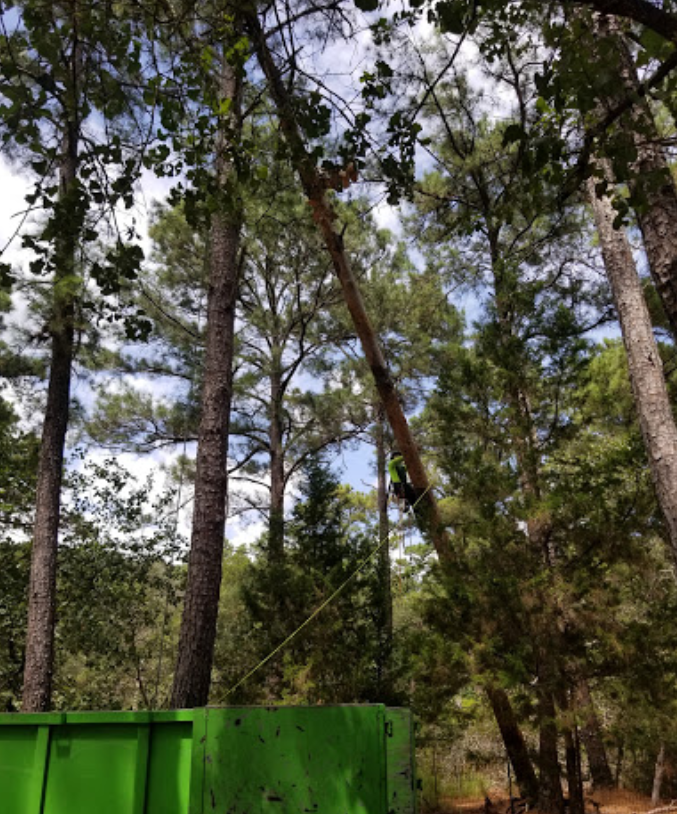 A green dumpster is sitting in the middle of a forest.