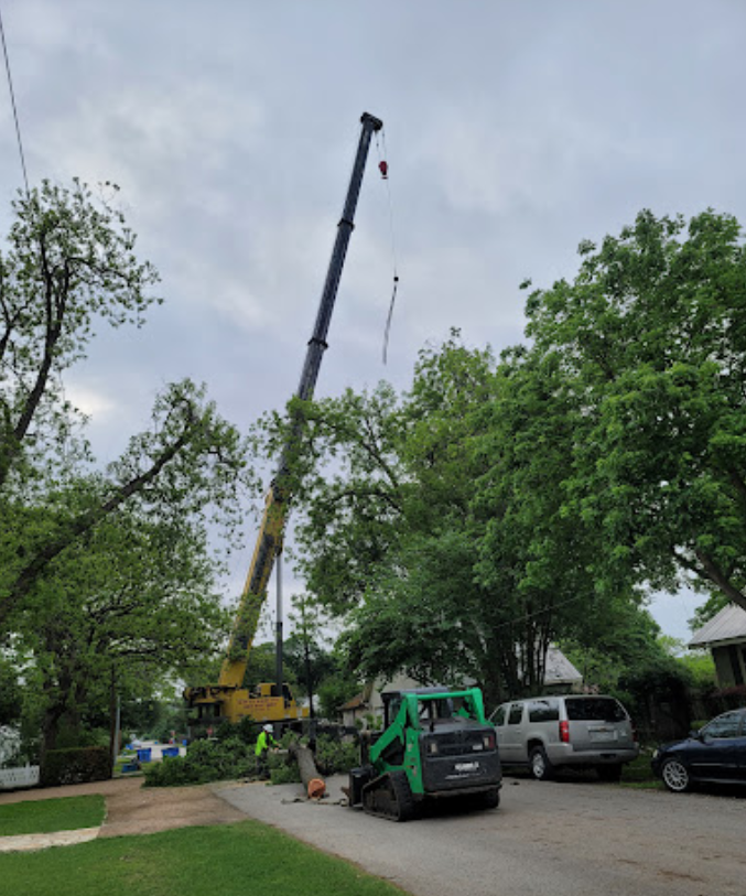 A crane is lifting a tree in a driveway.