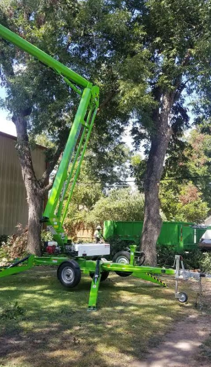A green crane is cutting a tree in a yard.