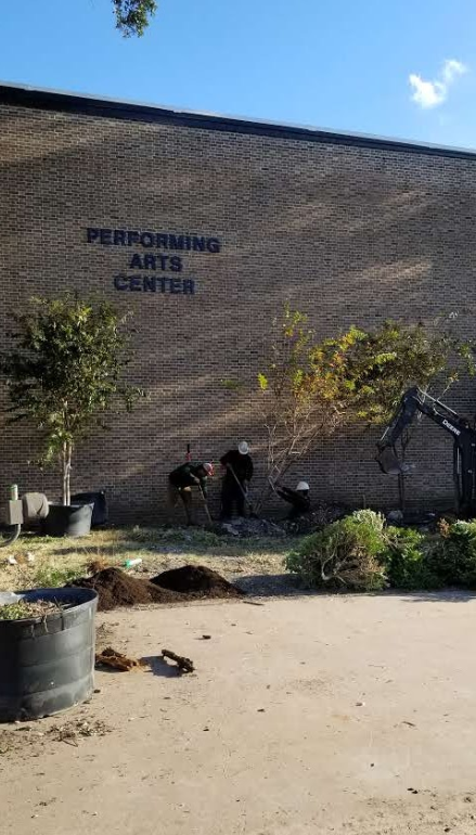 A group of people are planting trees in front of a building.