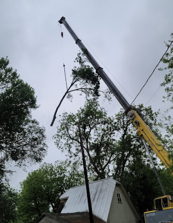A crane is lifting a tree branch over a house