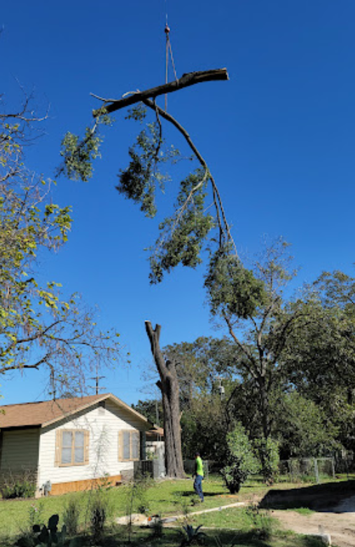 A tree is being cut down by a crane in front of a house.
