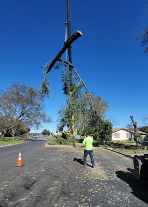 A man in a green shirt is standing next to a crane that is lifting a tree branch