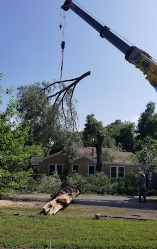 A crane is lifting a tree branch in front of a house.