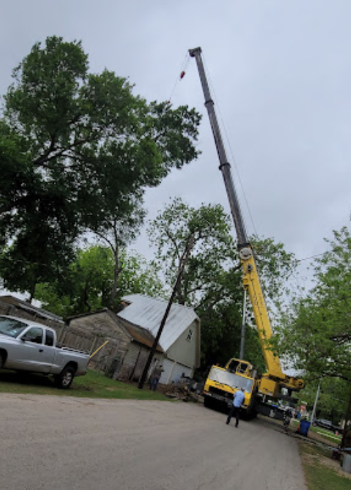 A large yellow crane is being used to remove a tree
