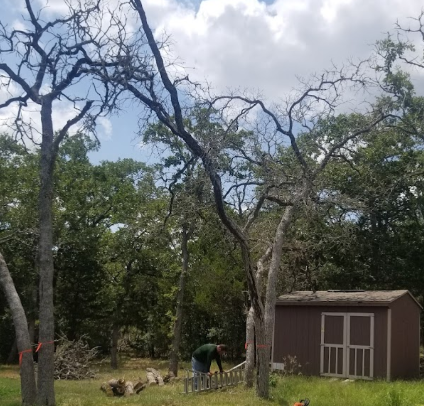 A man is working on a fence in front of a shed
