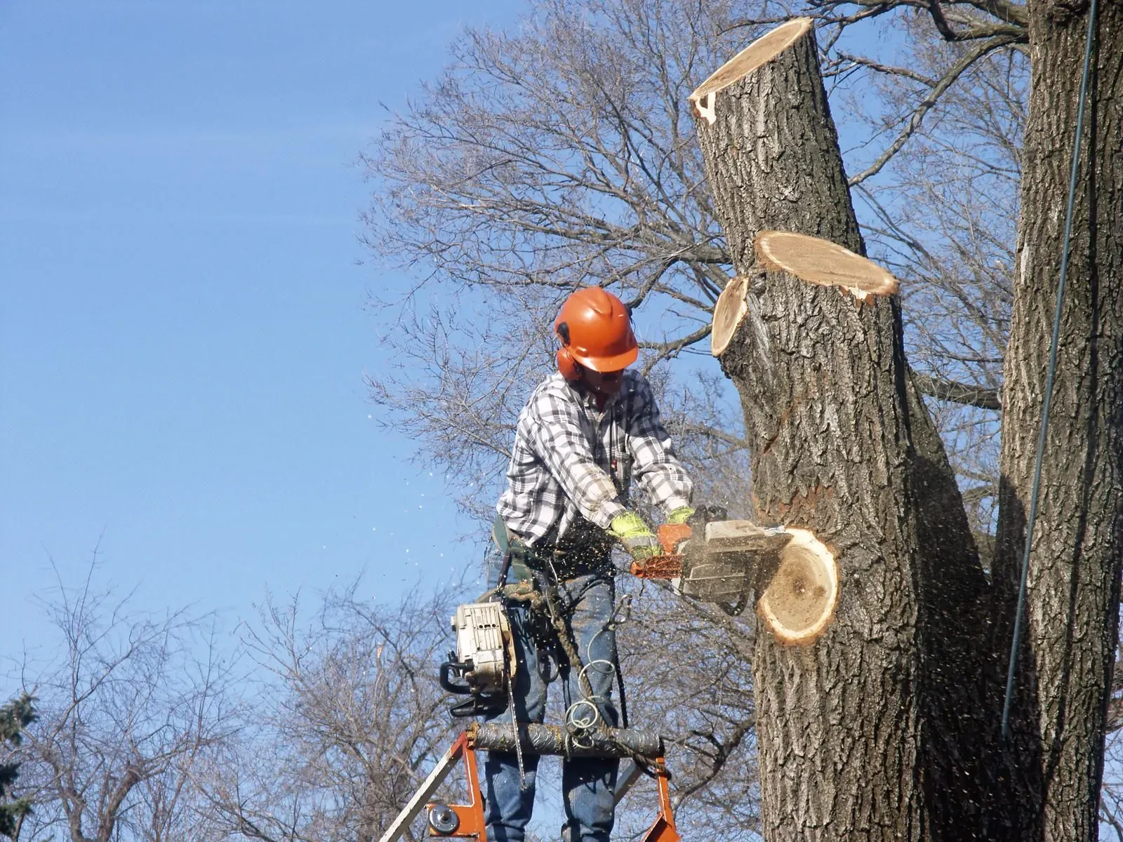 A person wearing safety gear and a helmet uses a chainsaw to cut a large tree branch while standing on a lift.
