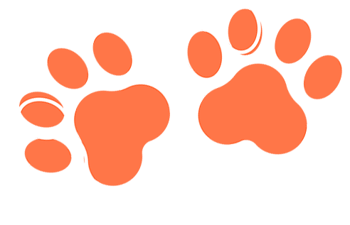 A pair of orange paw prints on a white background