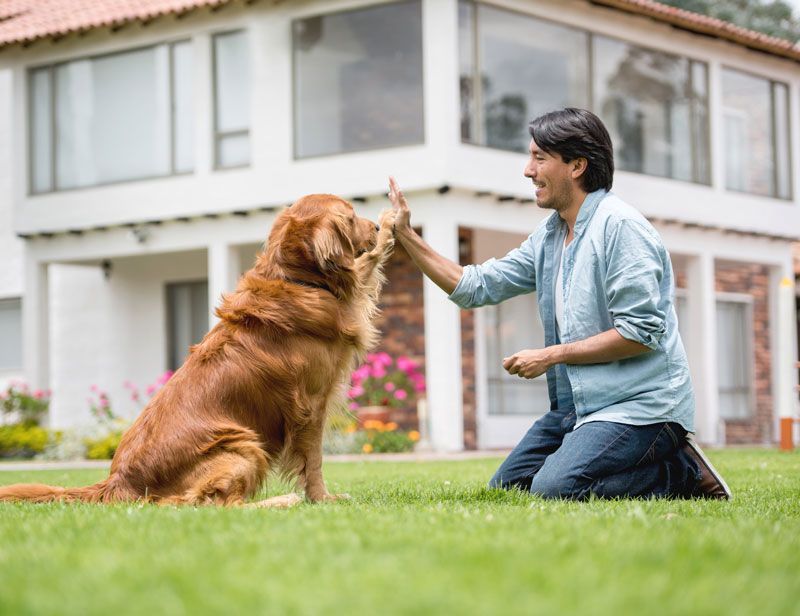 A man is kneeling down in front of a house giving his dog a high five.
