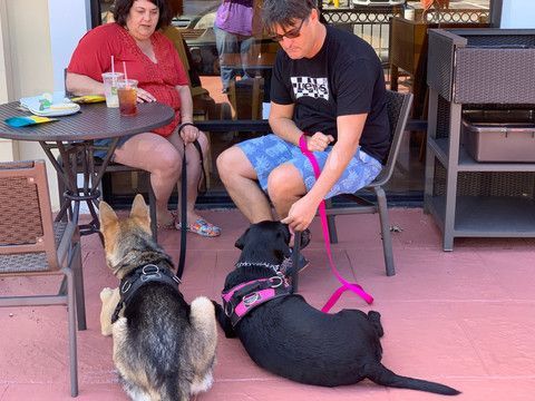 A man is petting two dogs while a woman sits at a table.