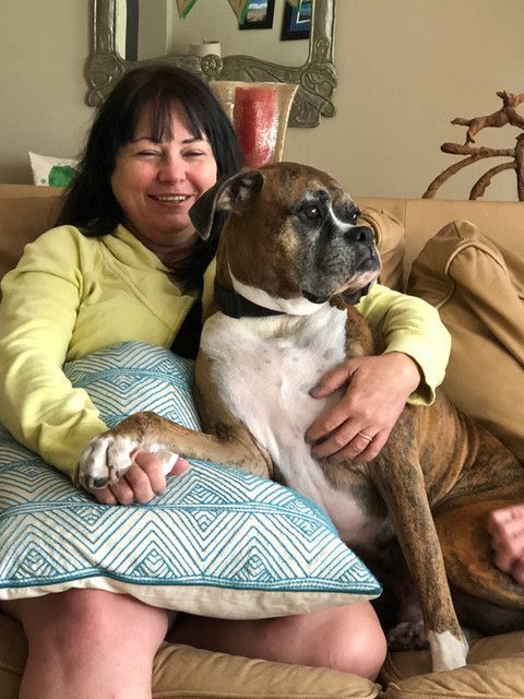 A woman is sitting on a couch holding a brown and white dog