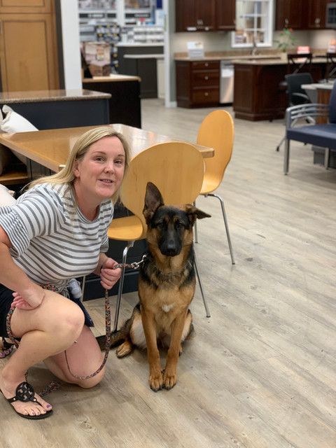 A woman kneeling down next to a german shepherd on a leash