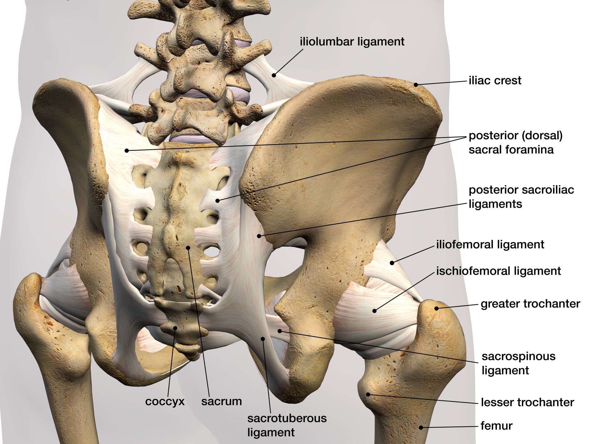 Osteopathy for Sacroiliac Joint and Lower Back Pain St Albans