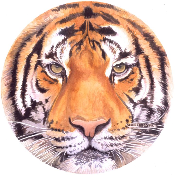 Spot Mosaic of a Tiger, Painted By Watercolor Artist Paul Jackson.
