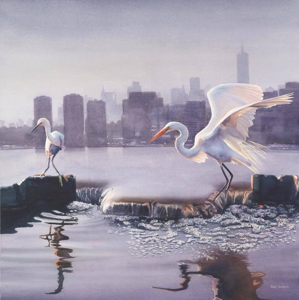 Life on the Edge by Paul Jackson. A Watercolor of Two White Birds Standing in Water Near a City.