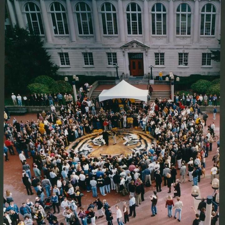 A Photo of a Crowd Surrounding a Tiger Mosaic on the Ground Painted By Paul Jackson.