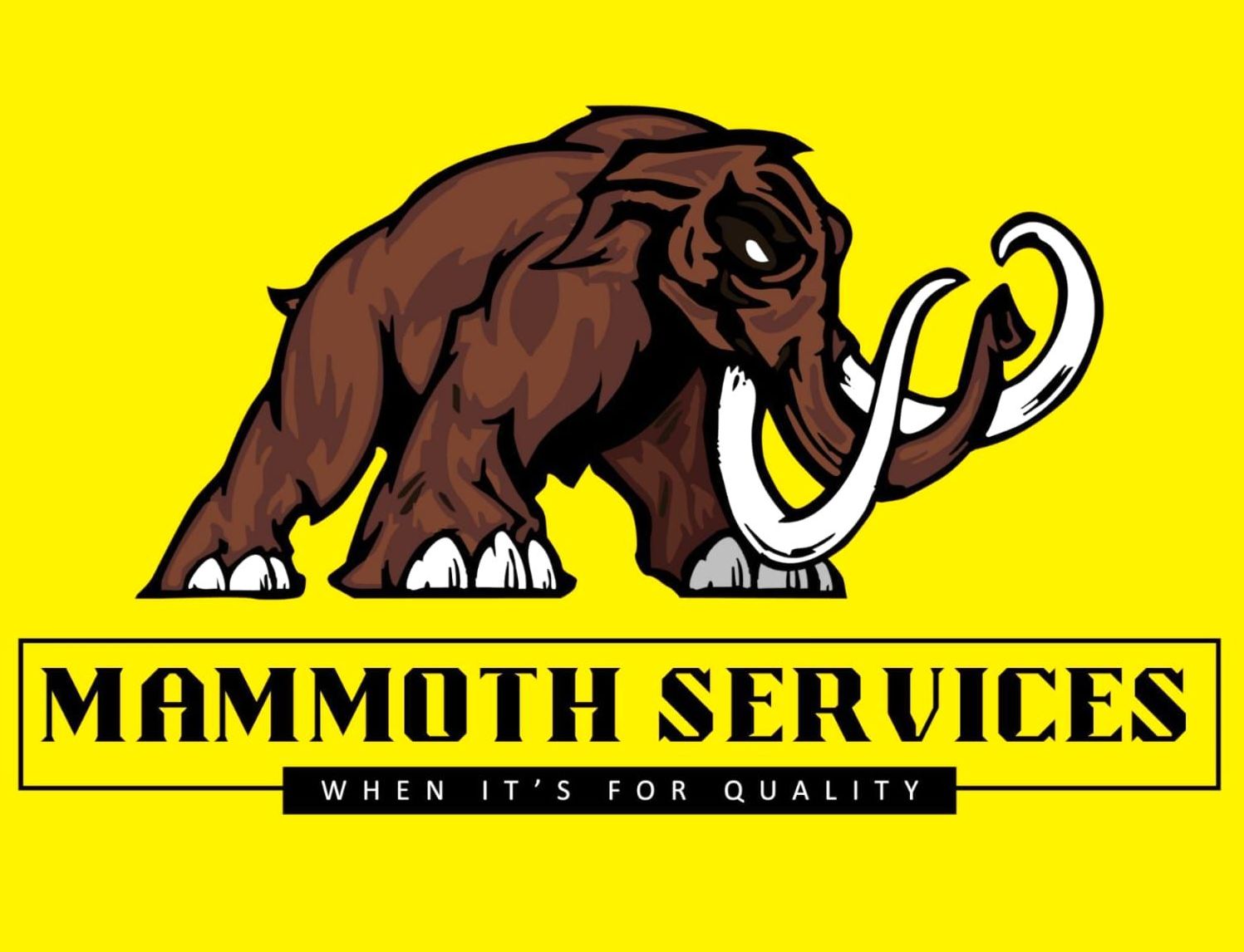 Mammoth Services