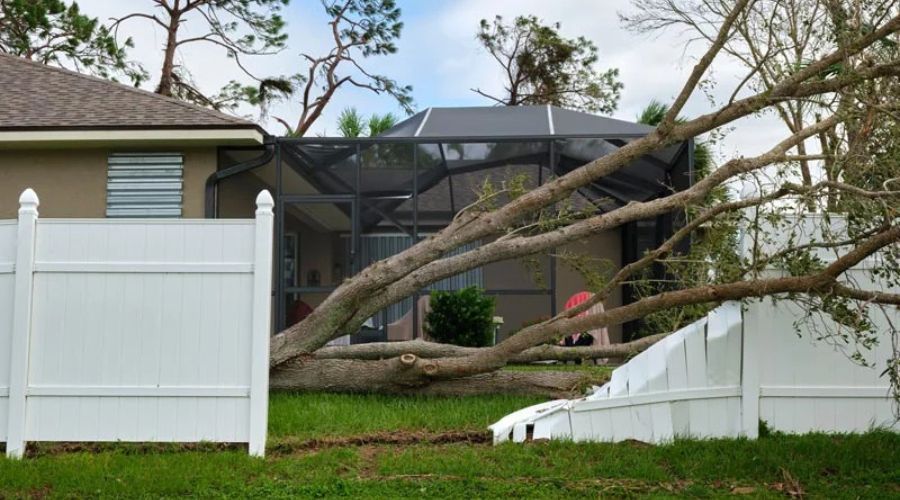 Fallen tree damaging a white vinyl fence during storm season