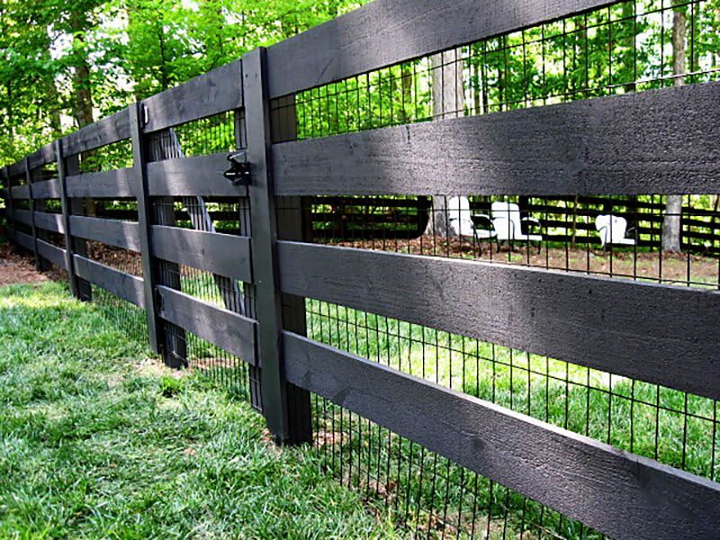 Black wooden fence with wire mesh, surrounding a grassy yard. Trees in the background.