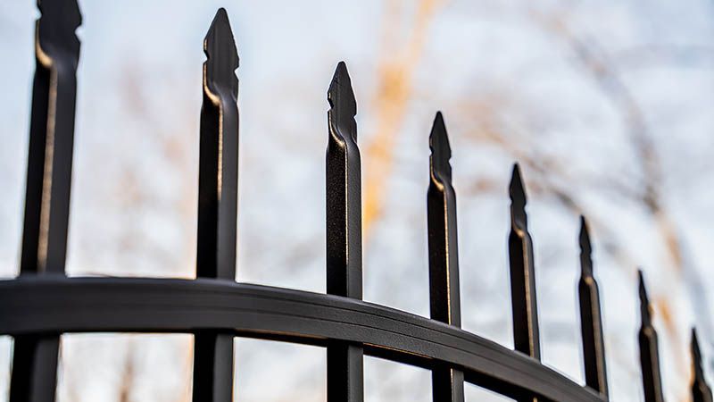 Black, wrought-iron fence spikes against a blurred sky and branches.