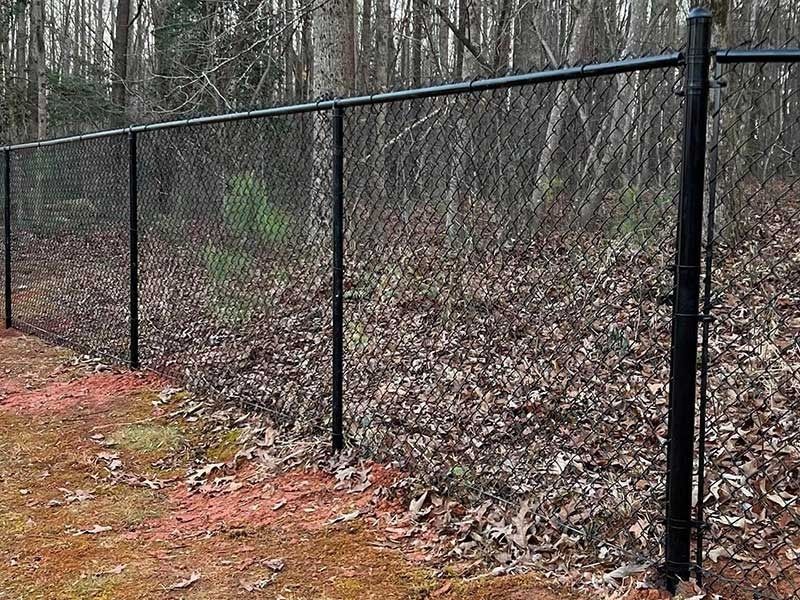 Black chain-link fence along a wooded area, leaves on the ground, trees in the background.