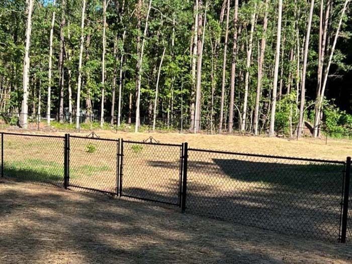Black chain-link fence in a yard with a backdrop of tall trees, under a clear sky.